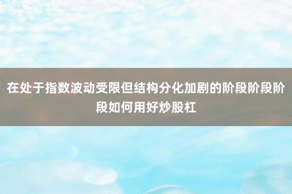 在处于指数波动受限但结构分化加剧的阶段阶段阶段如何用好炒股杠