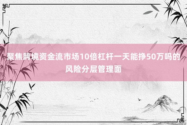 聚焦跨境资金流市场10倍杠杆一天能挣50万吗的风险分层管理面